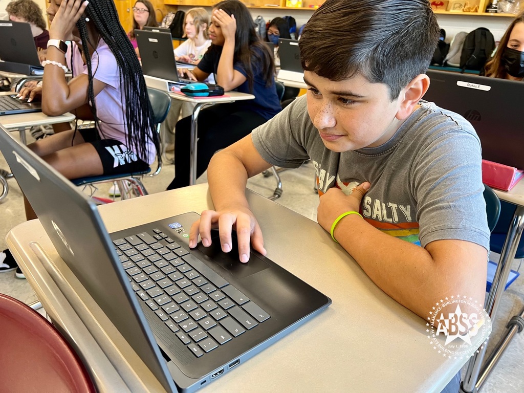 Photograph of boy using a student laptop at his desk