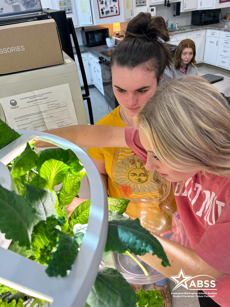 Students work together to remove greens from a classroom hydroponics garden