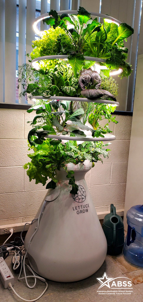 A indoor large hydroponic garden full of grown green vegetables