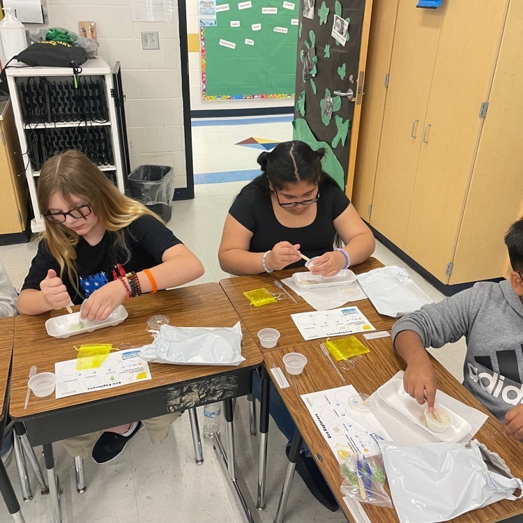 Live Feed Haw River Elementary School