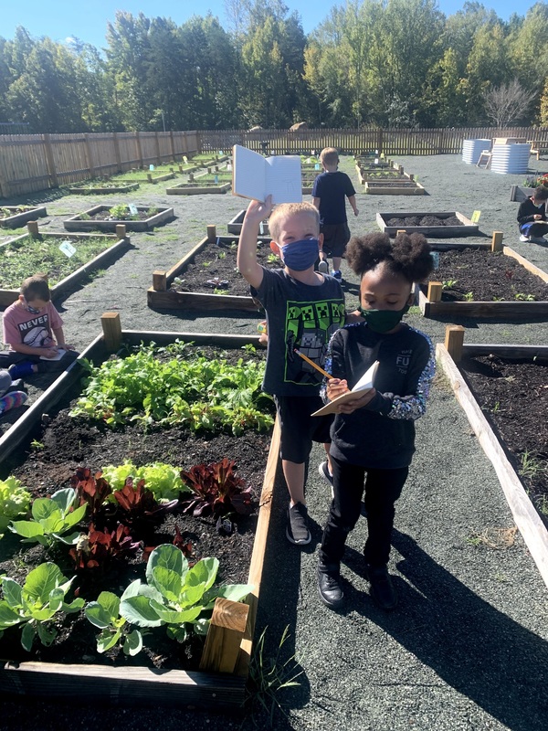 Elon Elementary students working in the community garden